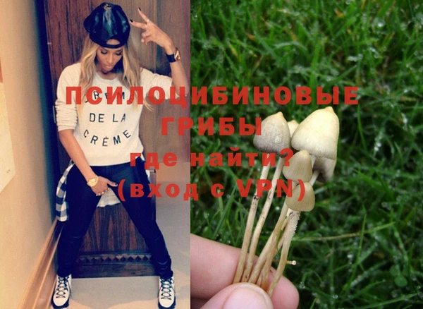 амф Майский