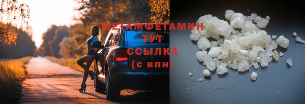 прущие грибы Медногорск