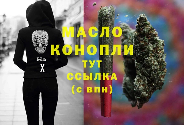 прущие грибы Медногорск