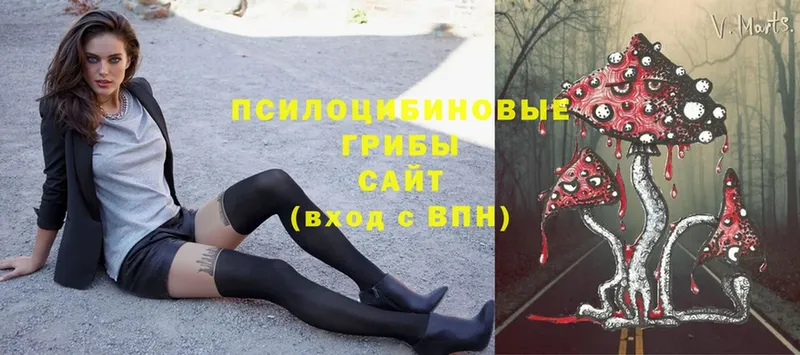 Галлюциногенные грибы мицелий  Великий Устюг 