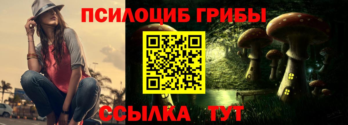 Великий Устюг  Псилоцибиновые грибы Psilocybe  Вход с VPN 