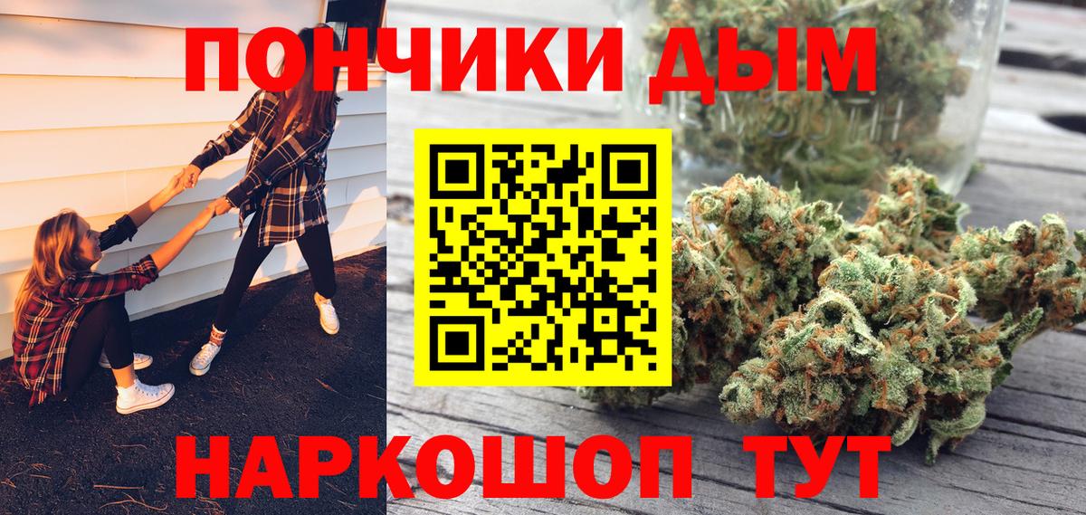 Каннабис план Великий Устюг
